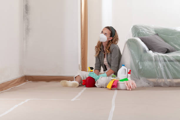 Reliable Mold Remediation contractor in Atlantic Highlands, NJ by Cheap Mold Removal